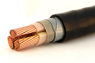 Rated voltage 1kV and 3kV cross-linked polyethylene insulation (flame retardant) Power cable 1.jpg